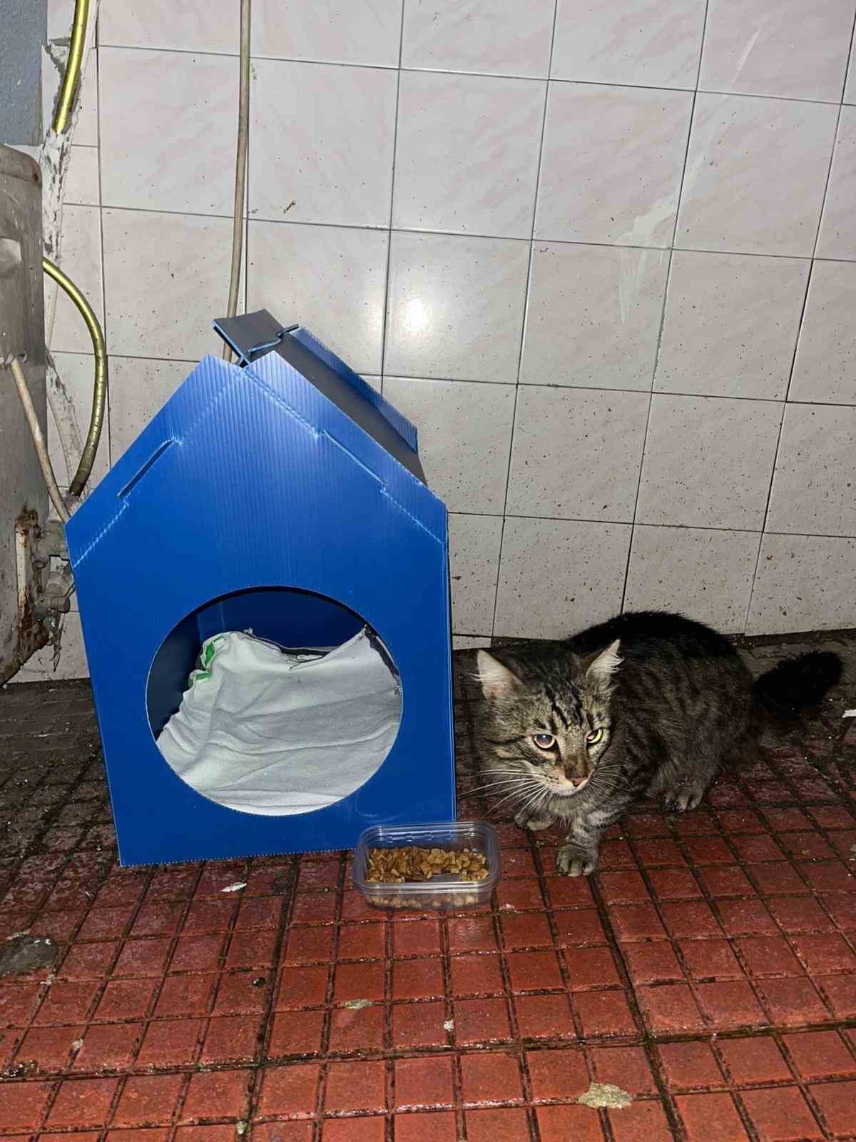 El emeğiyle yaptı, sokak kedilerine yuva oldu