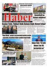 ŞEMDİNLİ HABER