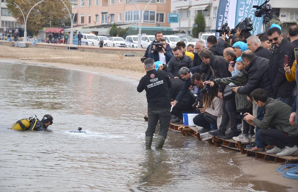 İzmit Körfezi'ne 6 bin çipura, levrek ve kalkan yavrusu bırakıldı