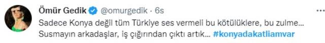 Ünlü isimler, kürekle köpeklere yapılan işkenceye öfke kustu! Seren Serengil, Cumhurbaşkanı Erdoğan'dan yardım istedi