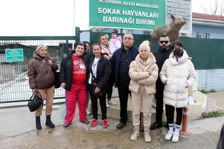 Edirne'de kedi ölümleriyle ilgili soruşturma başlatıldı