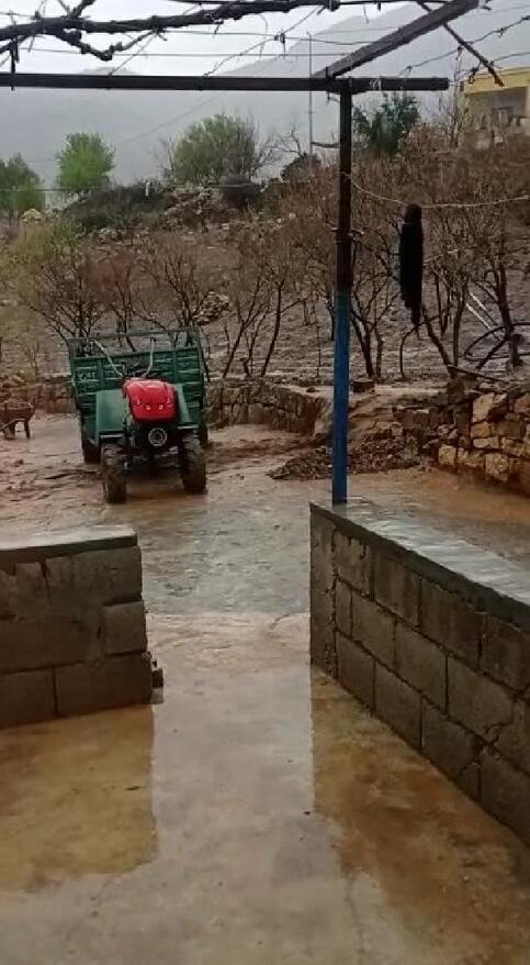 Siirt'te sağanak; bağ ve bahçeler suyla doldu