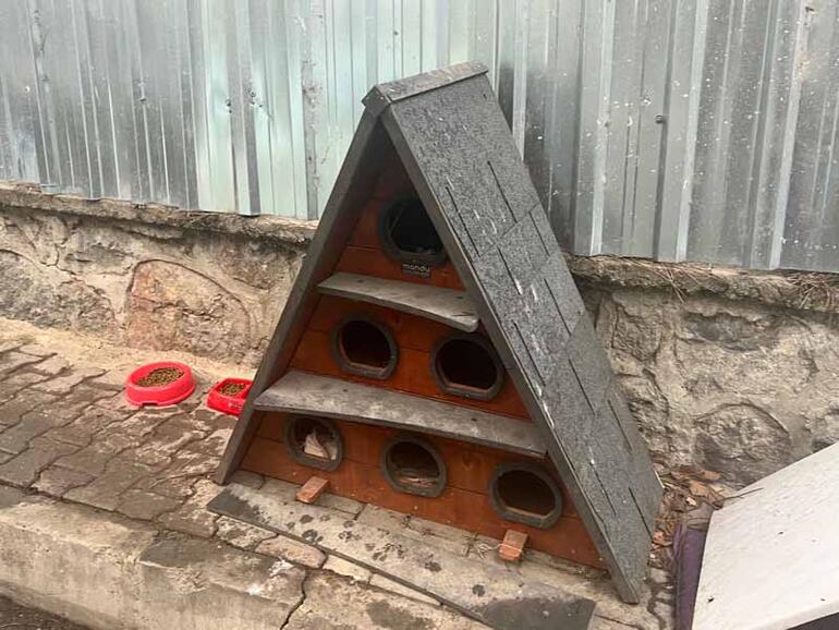 Kadıköy'de mahalleliyi ayağa kaldıran toplu kedi ölümleri