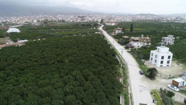 Samandağlı üreticilerin, DSİ'nin 'tarımsal sulama' kararından dönülmesi isteği