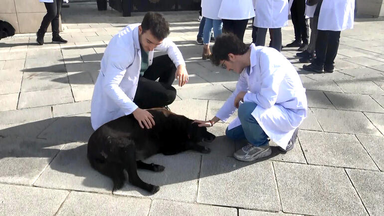 Cerrahpaşa Veteriner Fakültesi öğrencileri bugün de eylem yaptı