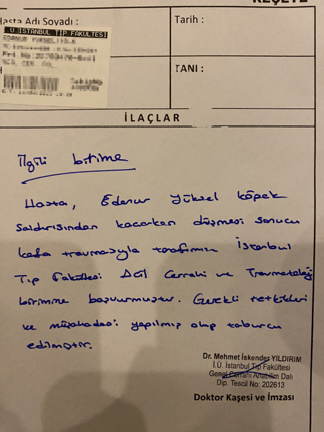 Yıldız Teknik Üniversitesi'nde rezalet! Başıboş köpekler öğrenciye saldırdı