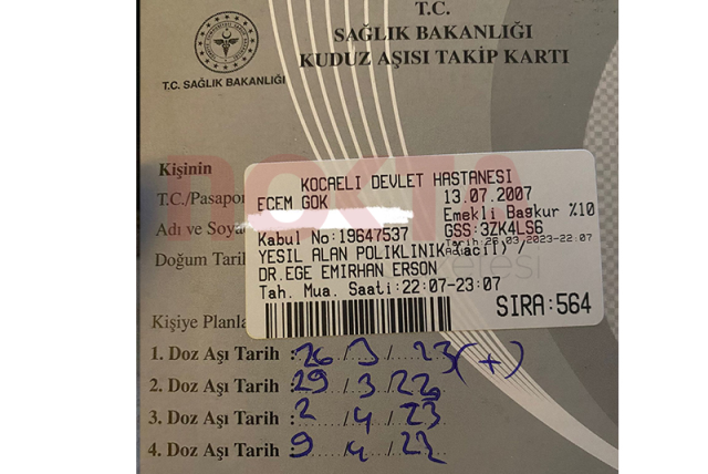 Yer: İzmit! AVM'de dehşet saçan başıboş köpek, 14 yaşındaki kıza ve köpeğine saldırdı