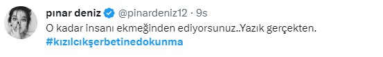 Kızılcık Şerbeti dizisi RTÜK'ün kararıyla yayından kaldırıldı! Ünlü isimler tepki gösterdi