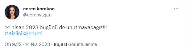 Kızılcık Şerbeti dizisi özet verilirken bir anda yayından kaldırıldı! Oyuncular RTÜK'e sert çıktı