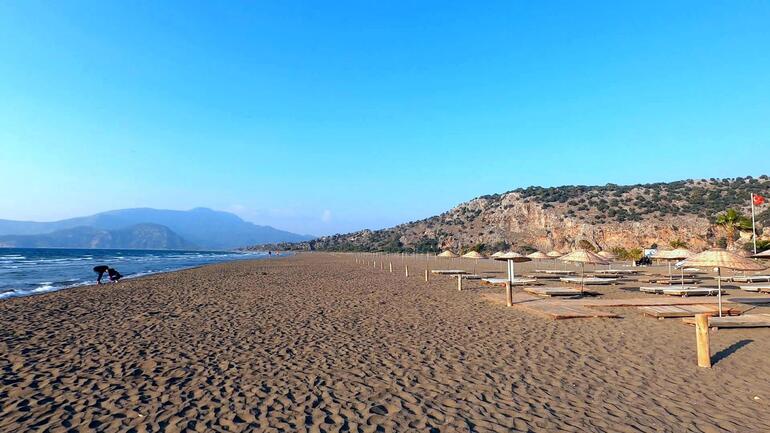 Deniz kaplumbağaları kabukları için avlanıyor ve kaçırılıyor