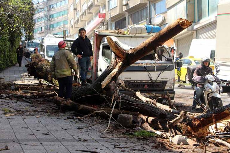 Kağıthane’de ağaç, anne ve çocuğunun içinde olduğu kamyonetin üzerine devrildi