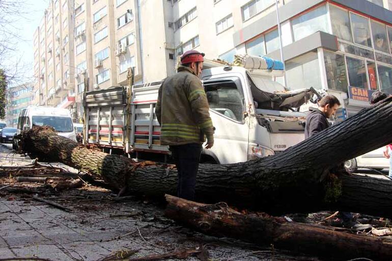 Kağıthane’de ağaç, anne ve çocuğunun içinde olduğu kamyonetin üzerine devrildi