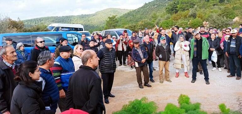 Bodrum'da taş ocağının bilirkişi raporu; toz, orman ve zeytin ağaçlarını olumsuz etkileyebilir