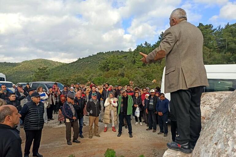 Bodrum'da taş ocağının bilirkişi raporu; toz, orman ve zeytin ağaçlarını olumsuz etkileyebilir