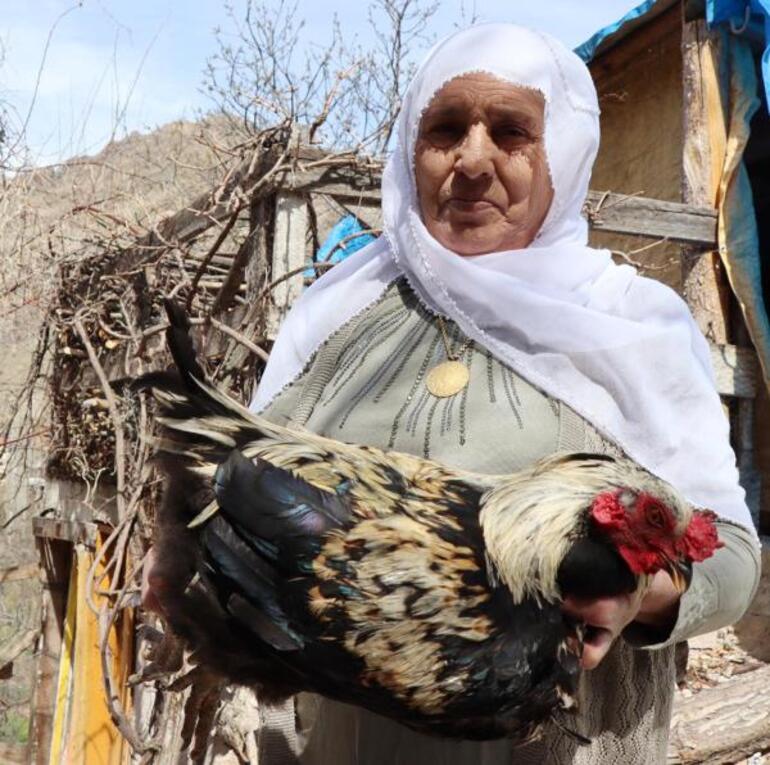 Gülistan Hanım'ın 'çakal' nöbeti