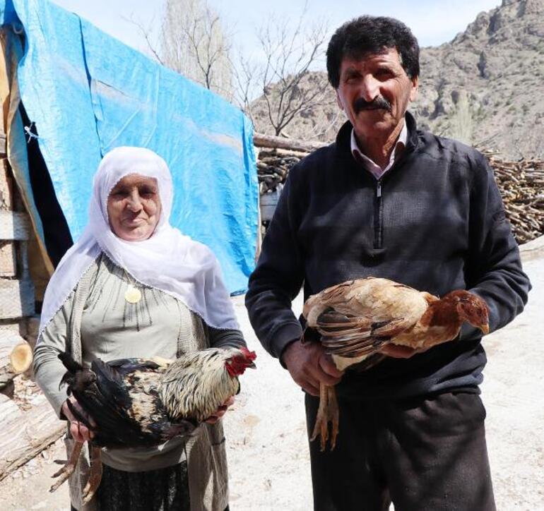 Gülistan Hanım'ın 'çakal' nöbeti