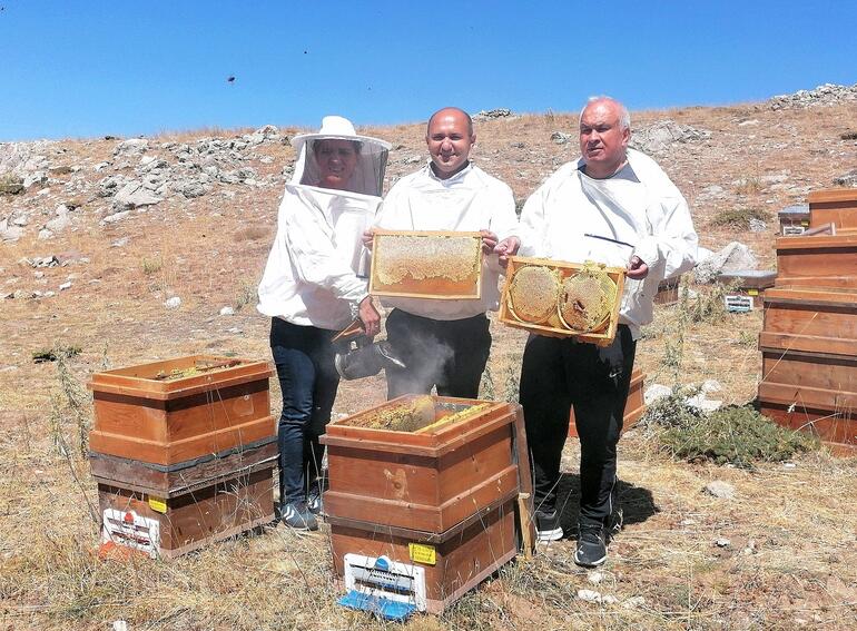 Toroslarda yetişen bal Katar yolcusu