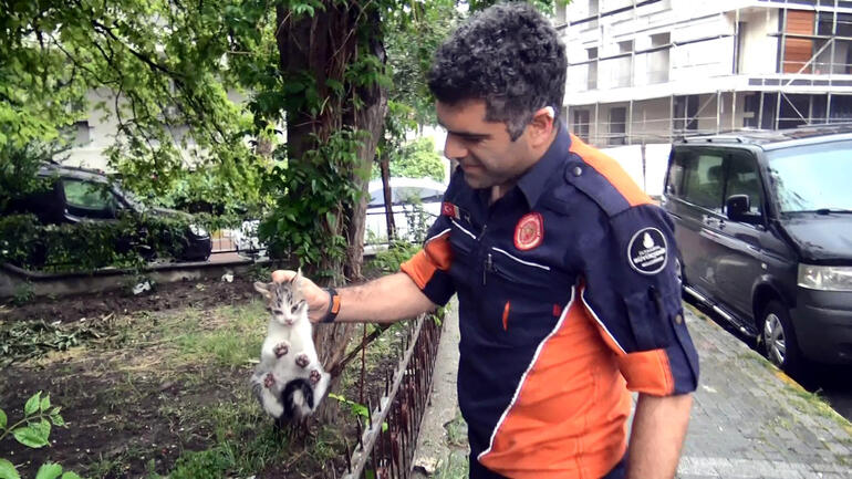 Avcılar'da araç motoruna giren yavru kediler kurtarıldı