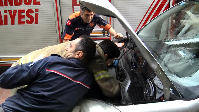 Avcılar'da araç motoruna giren yavru kediler kurtarıldı