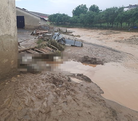 Elazığ'da şiddetli yağışla birlikte yaşanan selde 200 küçükbaş hayvan telef oldu