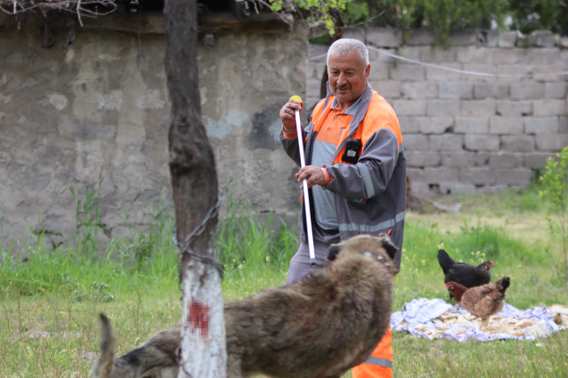 Başıboş sokak köpeği dehşet saçtı! Önce çocuğu ısırdı, sonra bir başka köpeği boğdu