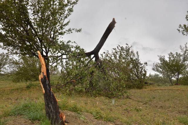 Kahramanmaraş'ta hortum çatıları uçurdu, ağaçları yerinden söktü