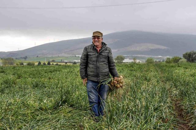 Soğanıyla meşhur ilçenin belediye başkanından Kılıçdaroğlu'na: Kaç tır istiyorsanız genel merkezin önüne göndereyim