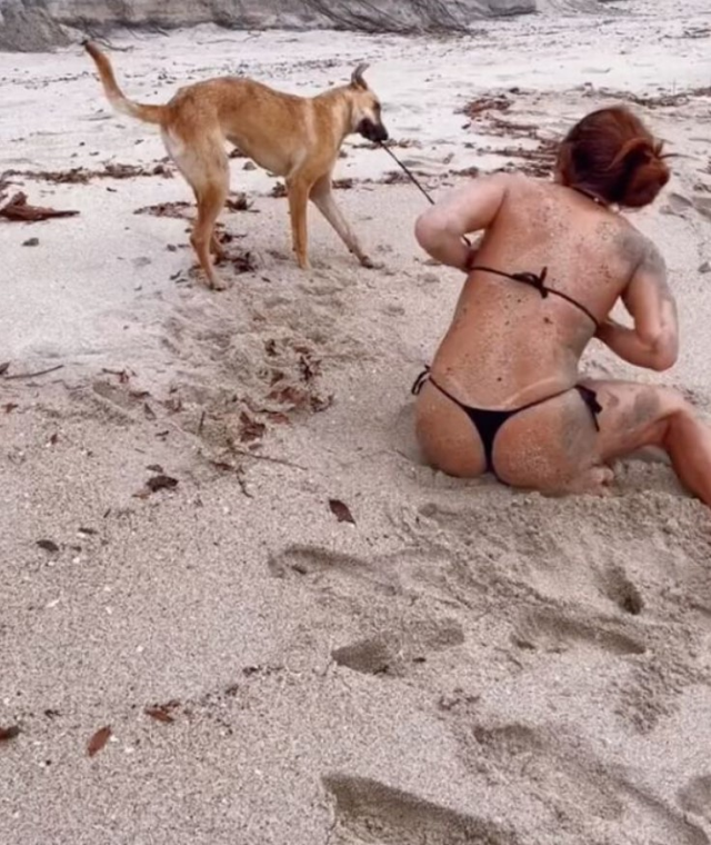 Plajda bikinisiyle güneşlenen ünlü fenomen Daniela Henao, bir anda üstsüz kaldı! Yaramaz köpek dakikalarca uğraştırdı