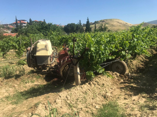 Ağaçtaki kuşu vurmak isterken komşusunu öldüren yaşlı adam, serbest bırakıldı