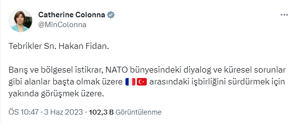 Yeni Kabine'de Dışişleri Bakanlığı görevini üstlenen Hakan Fidan'a dünyadan tebrik mesajları