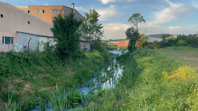 Arnavutköy'deki derenin rengi maviye döndü! Mahalleli fabrika atıklarından şüpheleniyor