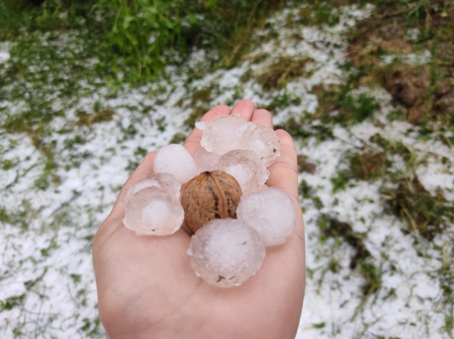 Kastamonu'ya ceviz büyüklüğünde dolu yağdı, ağaçlar zarar gördü