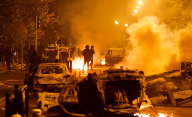 Protestolar sırasında serbest bırakılan 3 aslan Paris sokaklarında görüntülendi