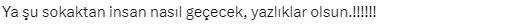 Kuduz karantinası uygulanan Siverek'te sokaklar köpek işgali altında! Vatandaşlar belediyeye tepkili