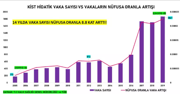 Başıboş köpekler ölümcül hastalık saçıyor! Kuduz vb. vakalar korkunç boyuta ulaştı