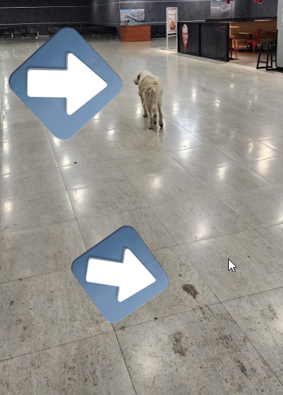 Sabiha Gökçen'de tepki çeken manzara! Sahipsiz köpekler alana girdi, bir de yerlere pisledikleri iddia edildi