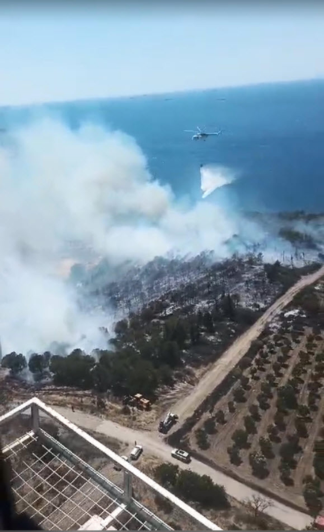 İzmir'de Aliağa ve Menderes ilçelerinde orman yangını! Vatandaşlar tahliye ediliyor