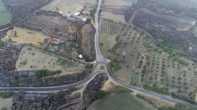 Çanakkale'de orman yangınında 38 saat geride kaldı! Alevler her yeri kül etti, bölgenin son hali içler acısı