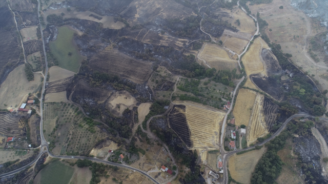 Çanakkale'de orman yangınında 38 saat geride kaldı! Alevler her yeri kül etti, bölgenin son hali içler acısı