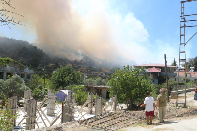 Hatay'da orman yangını! Havadan ve karadan müdahale başladı