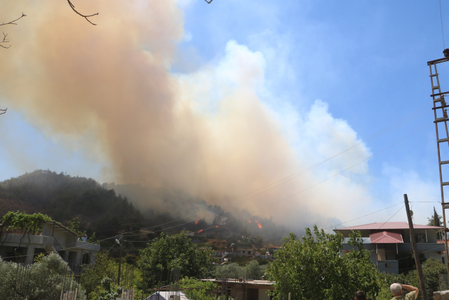 Hatay'da orman yangını! Havadan ve karadan müdahale başladı