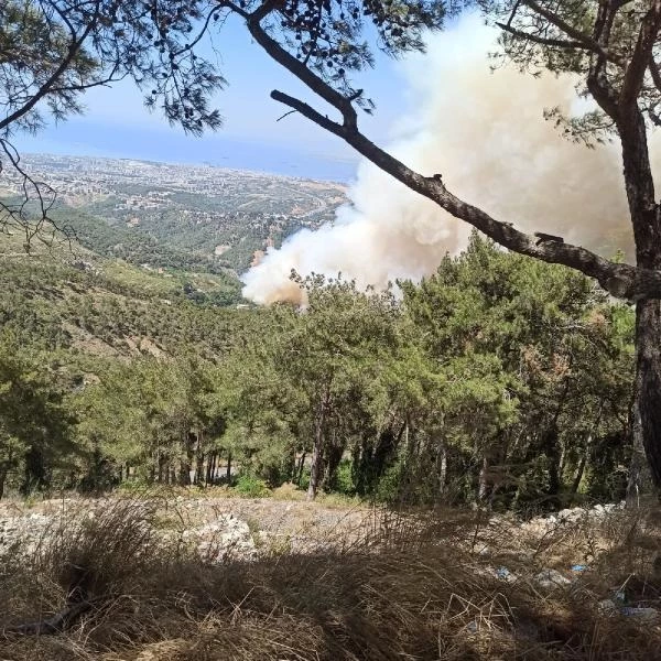 Hatay'da orman yangını! Ekipler hem karadan hem havadan müdahale ediyor