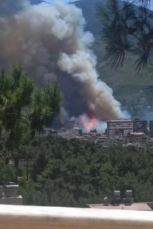 Hatay'da orman yangını! Ekipler hem karadan hem havadan müdahale ediyor