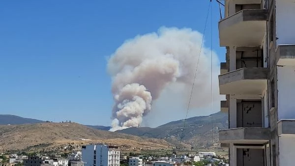 Hatay'da orman yangını! Ekipler hem karadan hem havadan müdahale ediyor