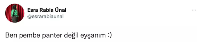 Fuhuş operasyonunda tutuklandığı iddia edilen Esra Rabia Ünal sonunda sessizliğini bozdu: Bu kadının benimle ne alakası var?