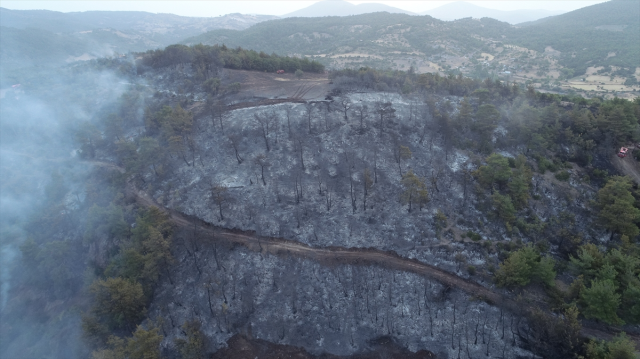 İzmir, Çanakkale ve Antalya cayır cayır yanıyor! Yerleşim yerleri boşaltıldı, gelen kareler yürek yakıyor