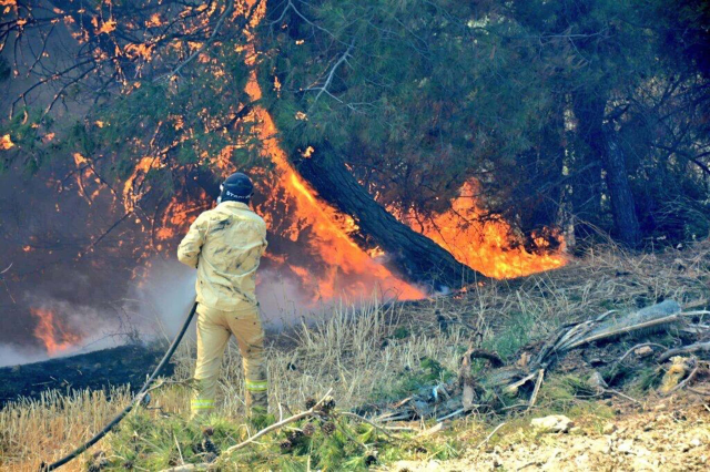 Hakkınız ödenmez! Çanakkale yangınında ekiplerin zorlu mücadelesi kamerada