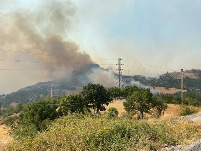 Çanakkale'de 5 saattir devam eden orman yangını şehir merkezine kadar yaklaştı