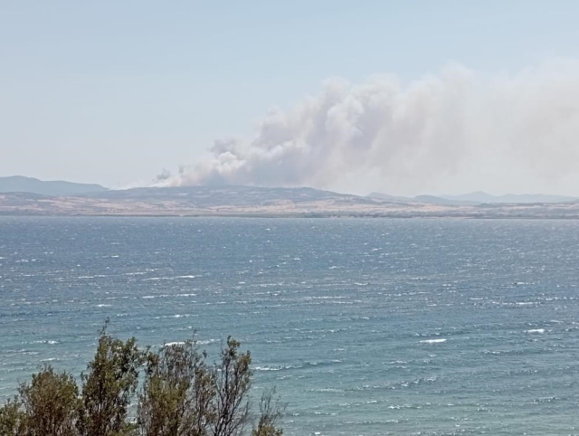 Çanakkale'de 5 saattir devam eden orman yangını şehir merkezine kadar yaklaştı