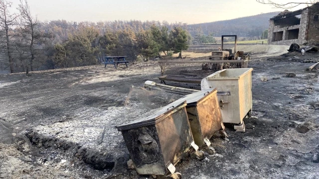 Çanakkale'deki orman yangınında acı tablo! Alevlerin sardığı köyden geriye bu kareler kaldı